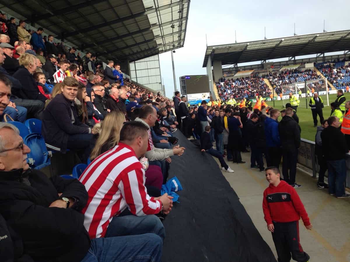 Colchester-Bees Half Empty Or Half Full?