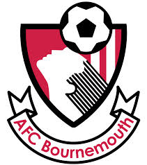 Beesotted’s pre-match guide: AFC Bournemouth