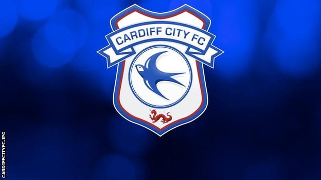 FanStand: Vincent Tan brings in the liquidator at Cardiff