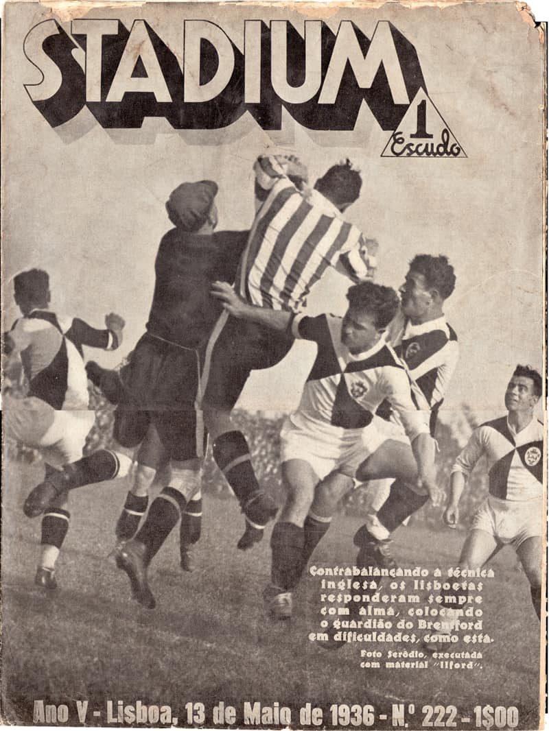 Bees Back In Portugal Despite Vowing “Never Again!”