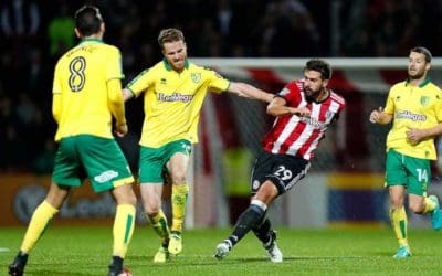 Norwich preview and pub guide: Can Brentford clip Canaries’ wings?
