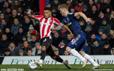 We’re on the box – Hornets Upset Bees Buzzing For Fulham clash