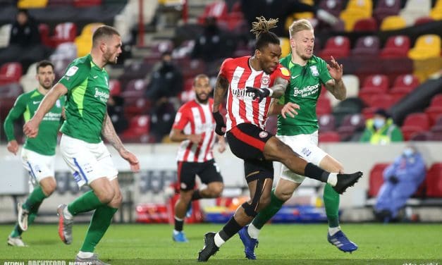 Is it Panic Stations for the Bees Yet? It’s getting close