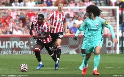 Bees Rue Missed Chances Against Brighton – Beesotted Weekend Review