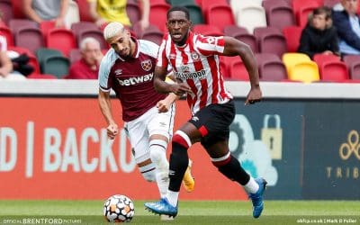 Hammer Time Sunday – Can Bees Complete The Double Double Podcast?