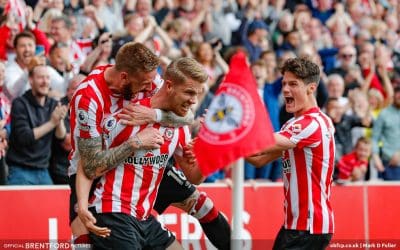 Safety In Numbers – Bees’ Premier Survival Is Guaranteed