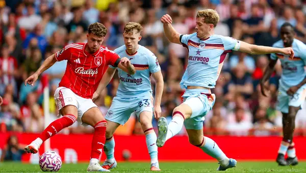 Two Pods, One Hive – Two-Part Podcast Special!