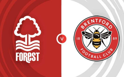 Makeshift Bees Take On Tricky Trees In Season Opener Podcast