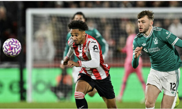 Fearless Bees Swarm Champions In A Gtech Night To Remember