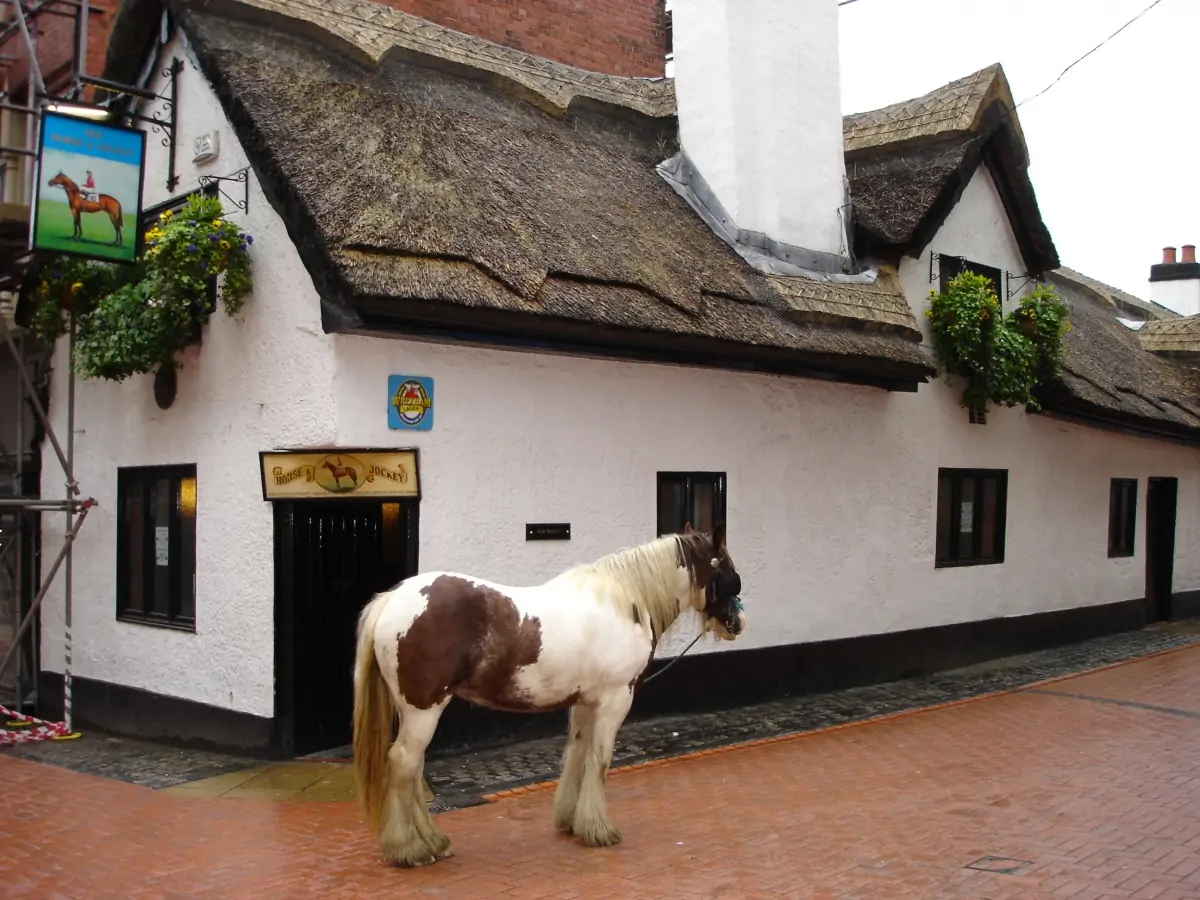 Drinking in Fulham & Spare Fulham Match Ticket Availability