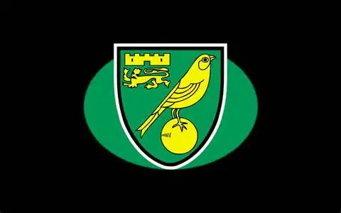 Opposition view: Bees End The Norwich Honey-moon