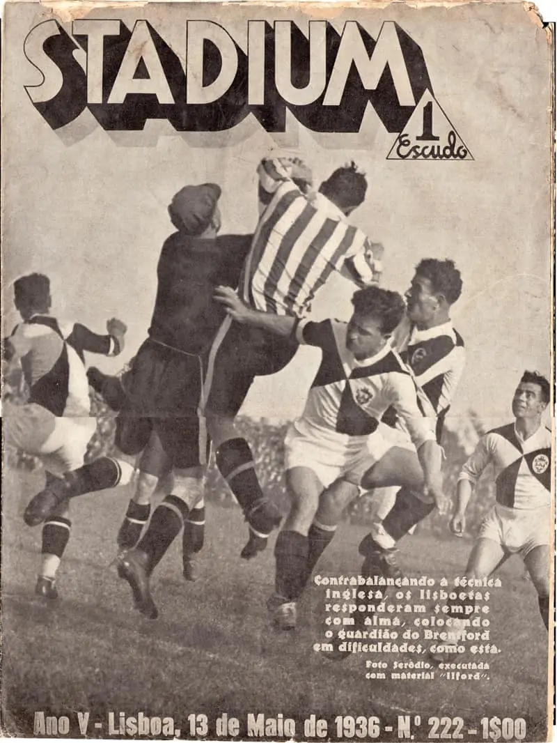 Bees Back In Portugal Despite Vowing “Never Again!”