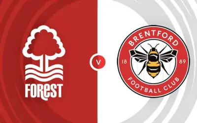 Makeshift Bees Take On Tricky Trees In Season Opener Podcast